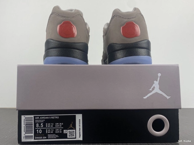 Low x DX6325-204 PSG Jordan 5 Air 0628